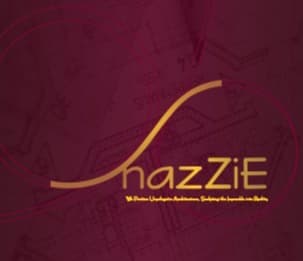 Architect Olusegun